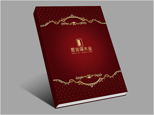 北京思普深家具公司宣傳畫冊設(shè)計(jì)案例圖片