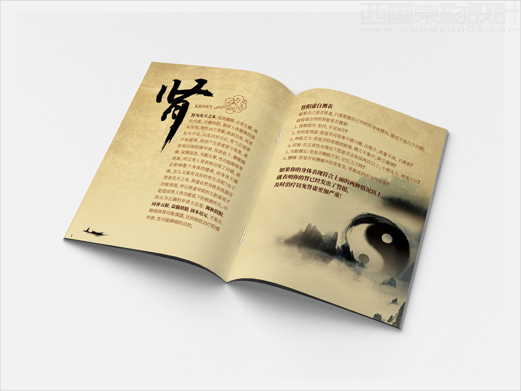 隴藥皇甫謐制藥股份有限公司金剛片產(chǎn)品樣本手冊(cè)內(nèi)頁設(shè)計(jì)