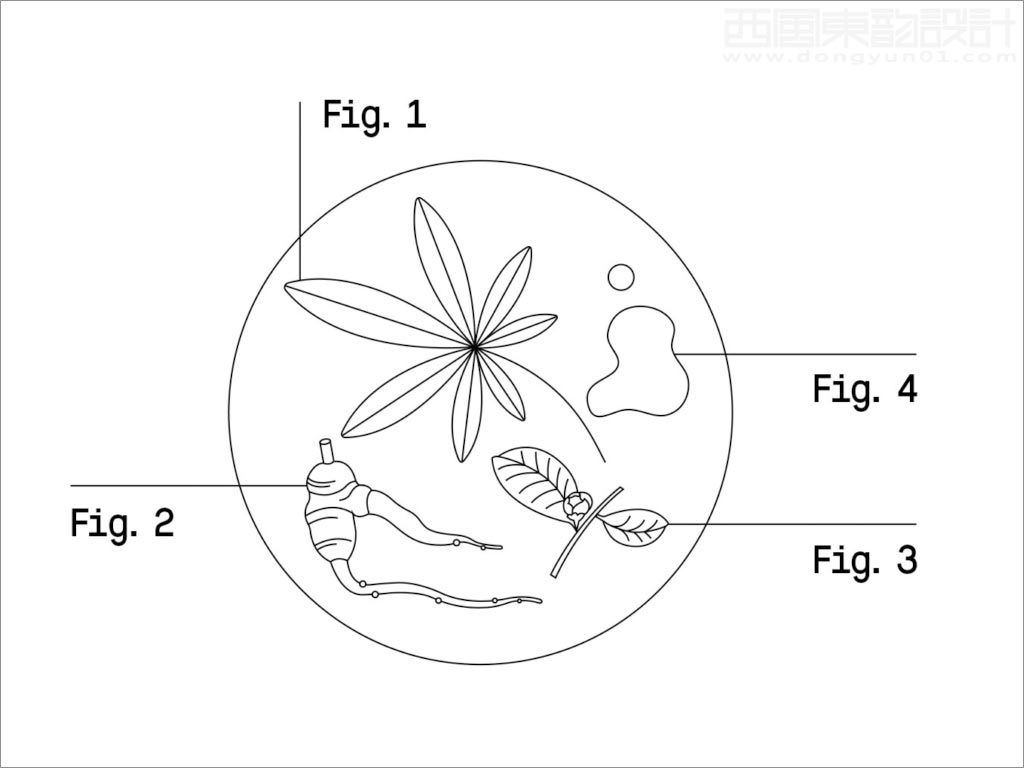 科學與自然完美融合的Healist保健品線稿插圖設計